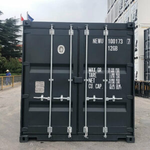 Contenedor marítimo de un camino de 10 'DC-Nuevo